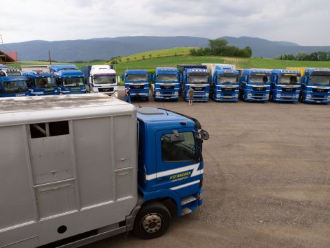 Transports camion Suisse et International 053