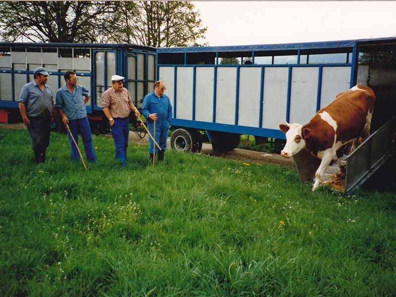 Camion de transport de bétail SCANIA Super 560R - Jouet agricole