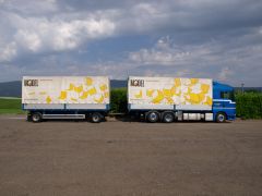 Transports camion Suisse et International 117